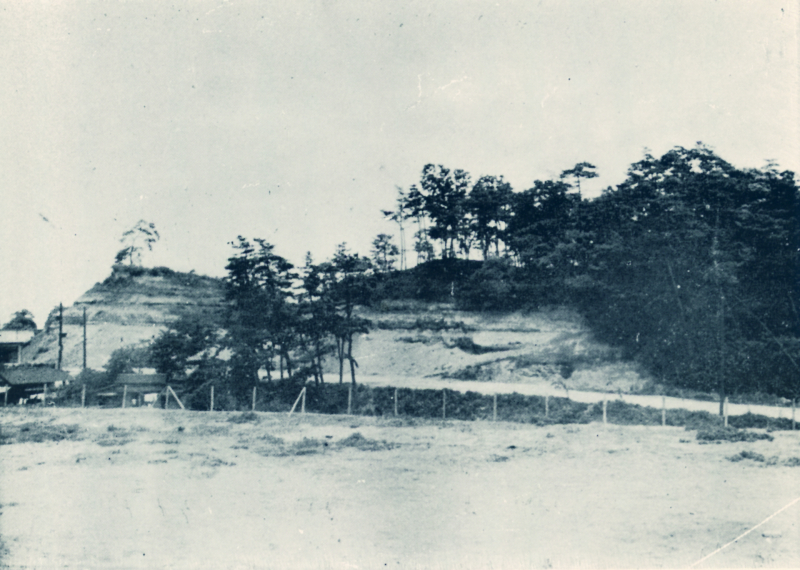 100号 陣笠 木製 本金 岩