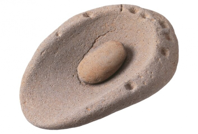 縄文時代の食べもの